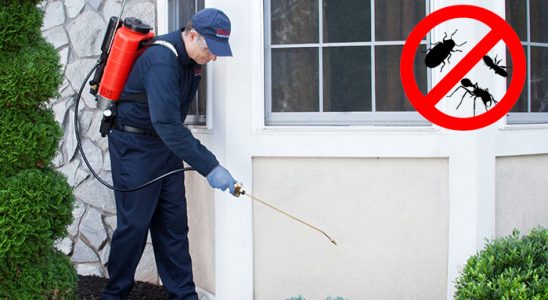 Akyaka Kene İlaçlama böcek ilaçlama ve haşere kontrolü — ilaclama-tr.com